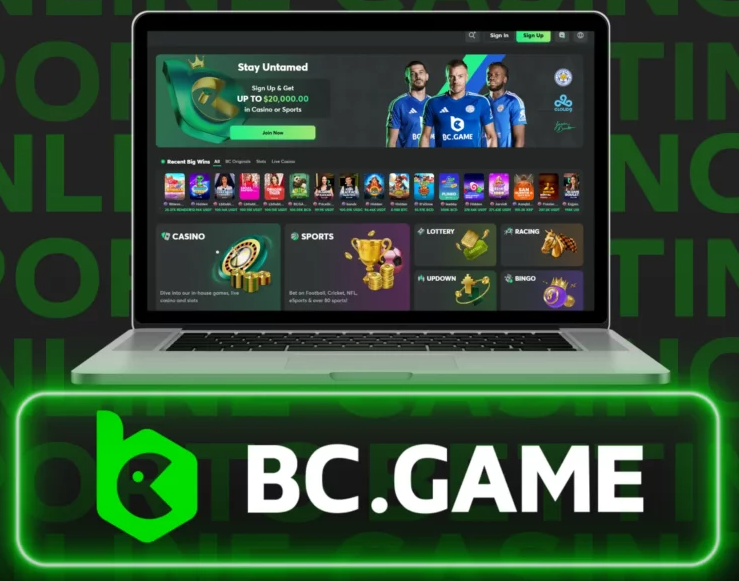 Exploring the World of Bc.Game A Comprehensive Overview