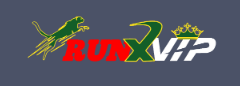 Discover the Thrills of Runx Bet Your Ultimate Betting Destination